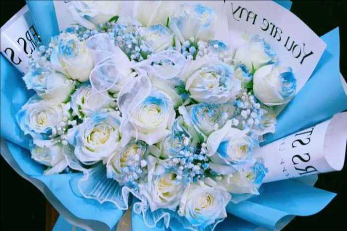 ˷��Ӧ�ػ���