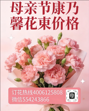朔州应县花店母亲节康乃馨花束